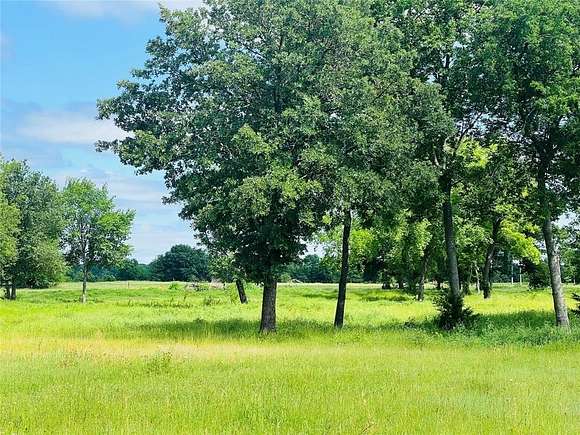 27.649 Acres of Land for Sale in Telephone, Texas