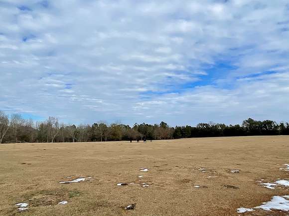 30.5 Acres of Agricultural Land for Sale in Enigma, Georgia