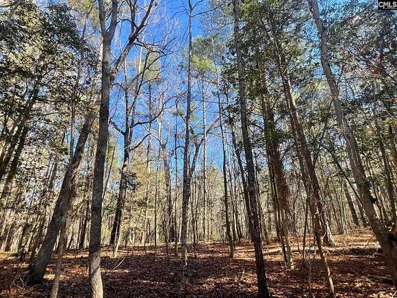 6.66 Acres of Land for Sale in Chapin, South Carolina