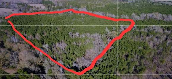 40 Acres of Recreational Land for Sale in Many, Louisiana