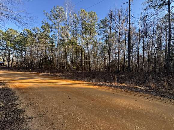 4.2 Acres of Land for Sale in Carrollton, Alabama