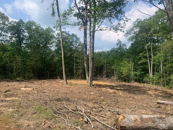 1.25 Acres of Residential Land for Sale in Spencer, Tennessee