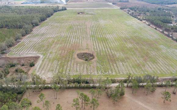 80 Acres of Agricultural Land for Sale in Live Oak, Florida