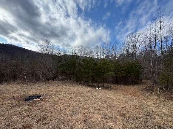 10.335 Acres of Land for Auction in Woolwine, Virginia