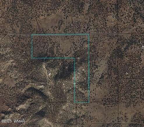 39.64 Acres of Agricultural Land for Sale in Snowflake, Arizona