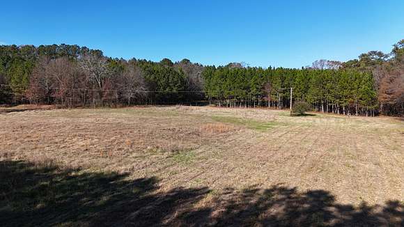 46.8 Acres of Recreational Land for Sale in Ellenwood, Georgia