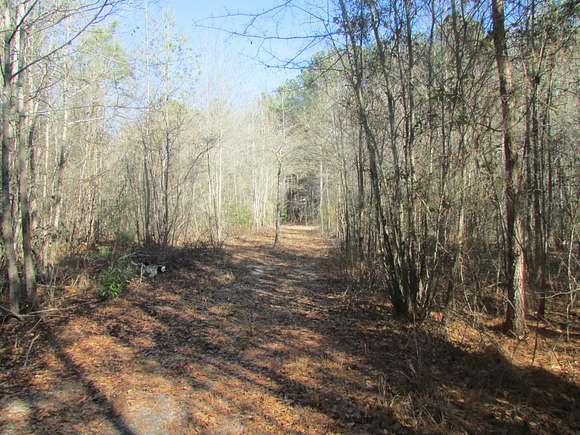 14 Acres of Recreational Land for Sale in Sumter, South Carolina