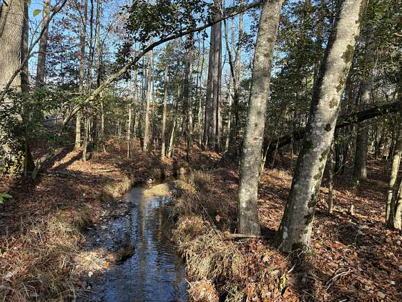 60.5 Acres of Recreational Land for Sale in Skippers, Virginia