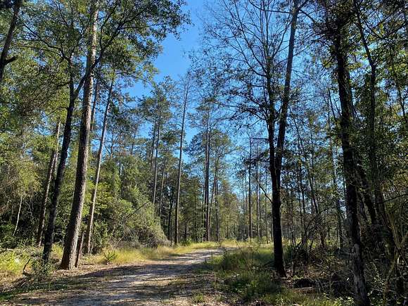 265 Acres of Recreational Land for Sale in Buna, Texas