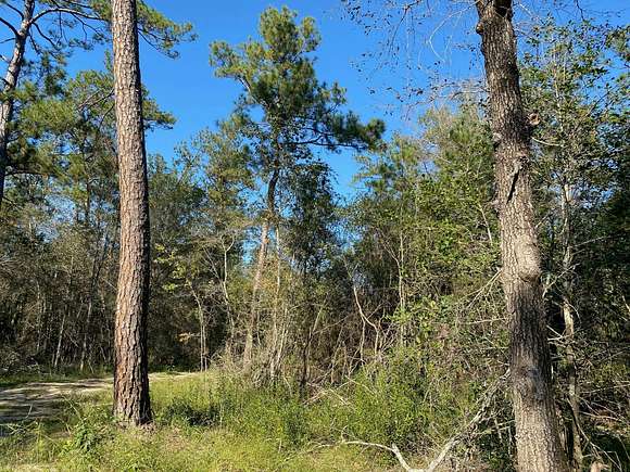 275 Acres of Recreational Land for Sale in Buna, Texas