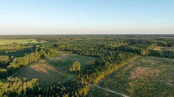 336 Acres of Recreational Land for Sale in Sylvania, Georgia