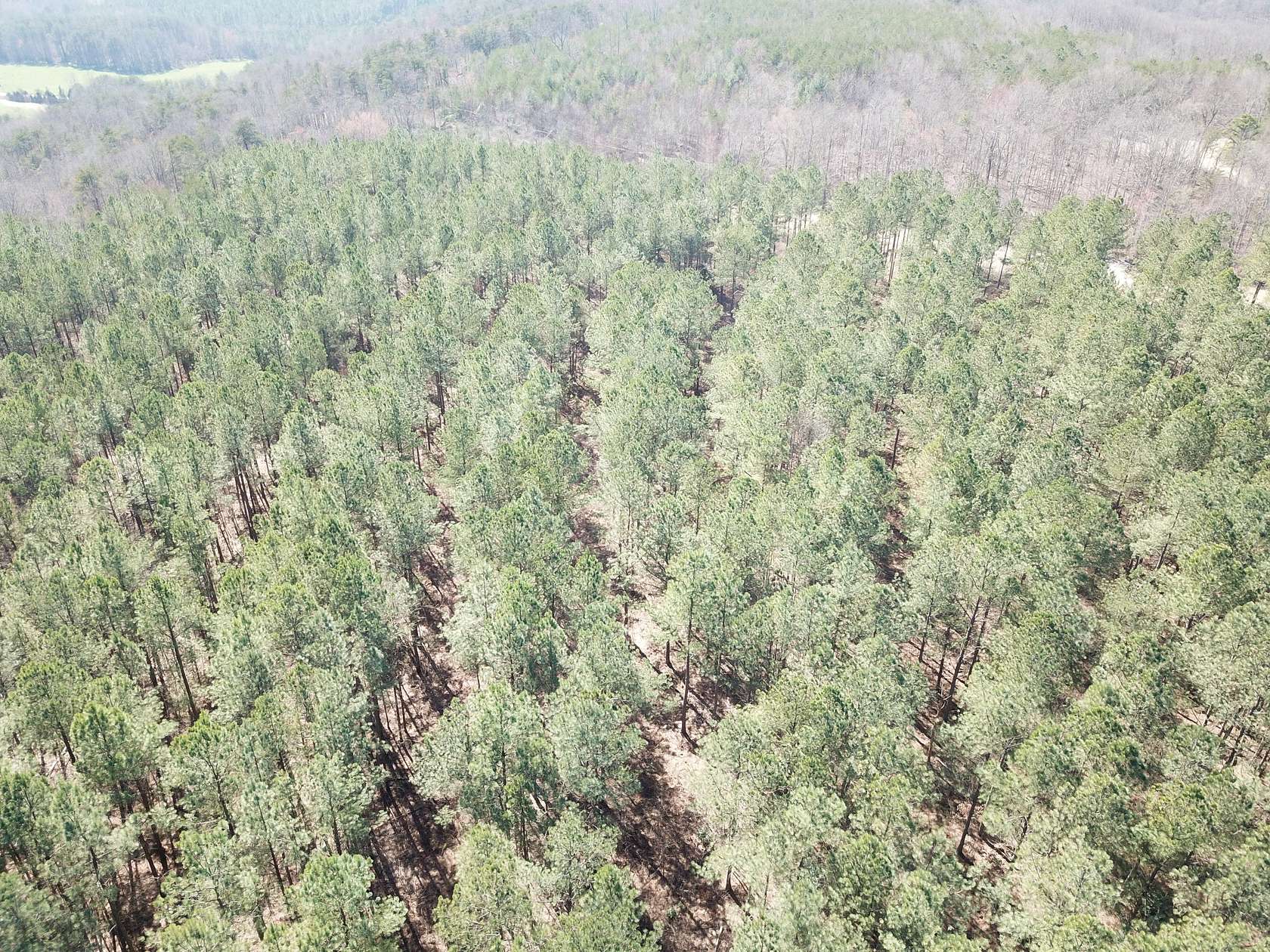 101 Acres of Recreational Land for Sale in Crossville, Tennessee