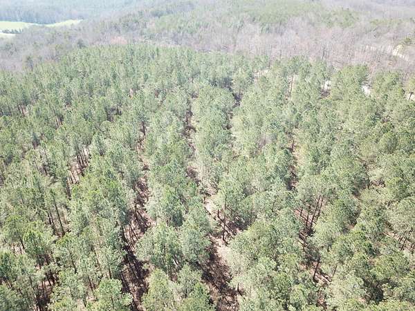 101 Acres of Recreational Land for Sale in Crossville, Tennessee