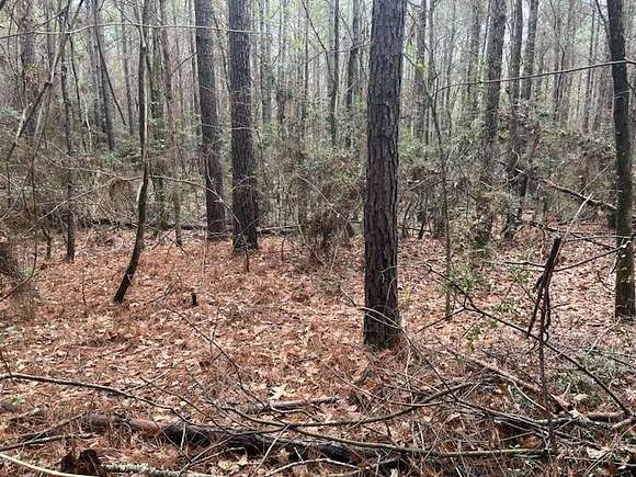 8 Acres of Land for Sale in Converse, Louisiana