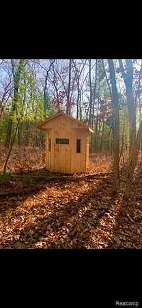 15 Acres of Recreational Land for Sale in White Cloud, Michigan