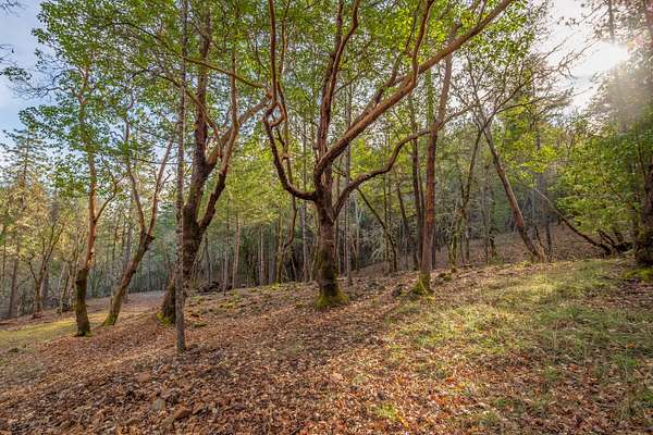 2.52 Acres of Residential Land for Sale in Grants Pass, Oregon