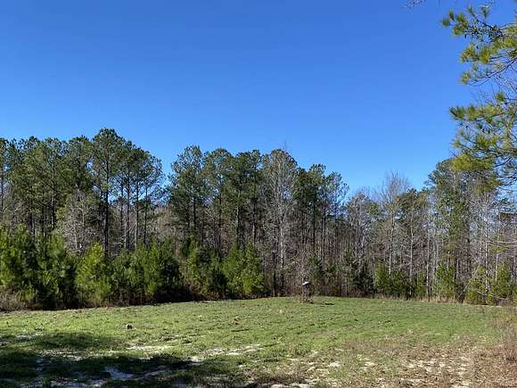 154 Acres of Recreational Land for Sale in Tunnel Springs, Alabama