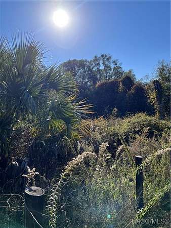 1 Acre of Residential Land for Sale in Crystal River, Florida