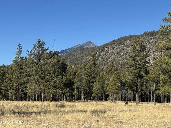 2 Acres of Residential Land for Sale in Flagstaff, Arizona