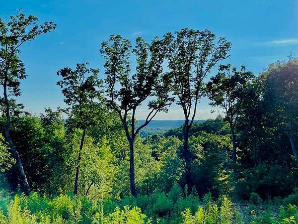 6 Acres of Residential Land for Sale in Talking Rock, Georgia