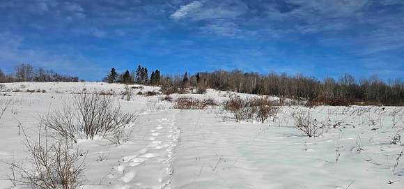 63 Acres of Land with Home for Sale in Smyrna Town, New York