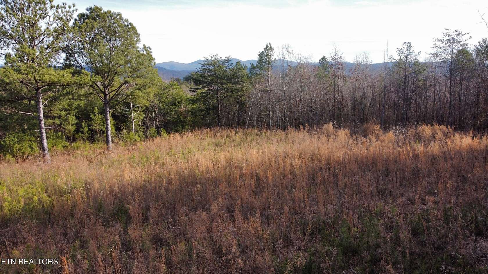 10.4 Acres of Land for Sale in Tellico Plains, Tennessee