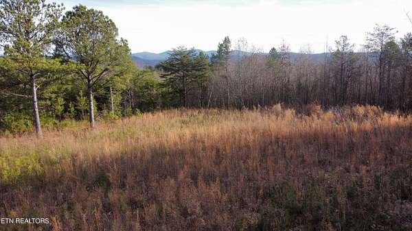 10.4 Acres of Land for Sale in Tellico Plains, Tennessee