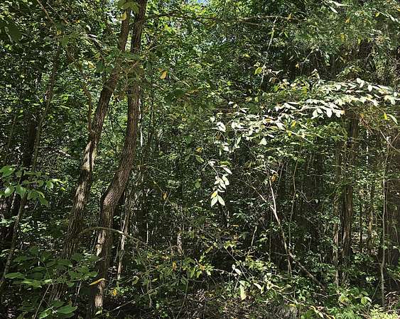 11 Acres of Land for Sale in Hartford, Tennessee