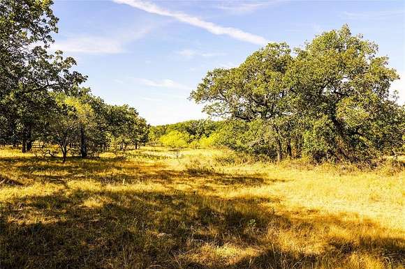 91.55 Acres of Recreational Land & Farm for Sale in Jacksboro, Texas