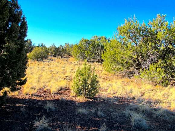 1.13 Acres of Residential Land for Sale in Show Low, Arizona