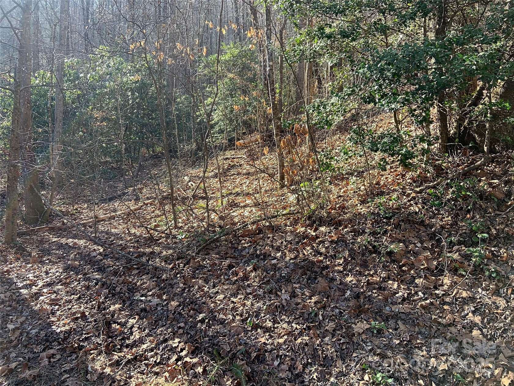 2.75 Acres of Residential Land for Sale in Whittier, North Carolina