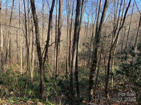 2.75 Acres of Residential Land for Sale in Whittier, North Carolina