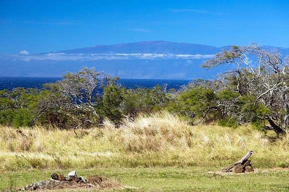 20.195 Acres of Land for Sale in Hawi, Hawaii