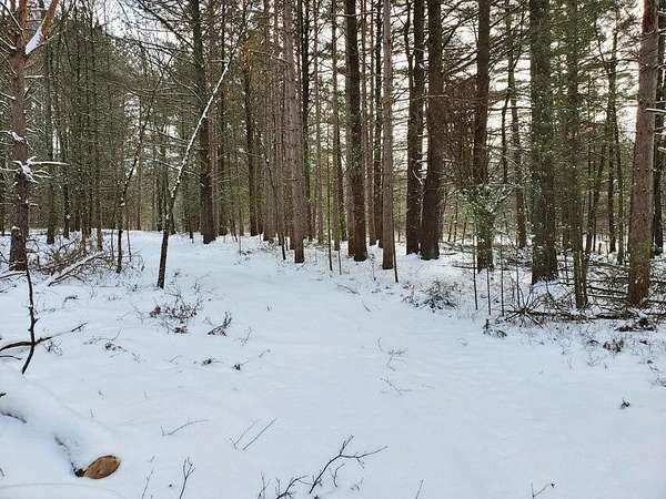 126 Acres of Recreational Land for Sale in Brohman, Michigan