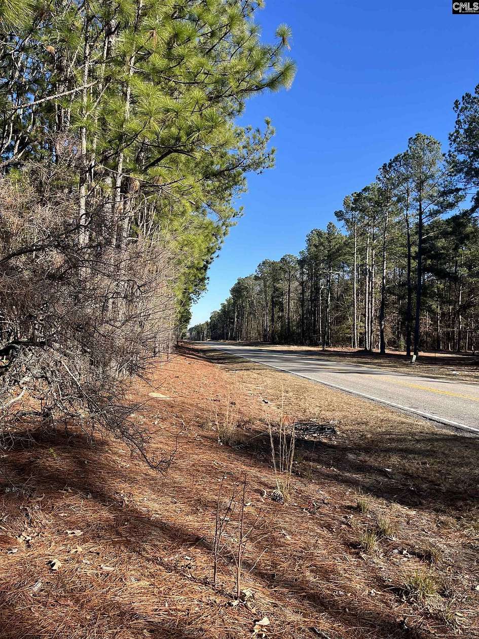 1 Acre of Residential Land for Sale in Swansea, South Carolina