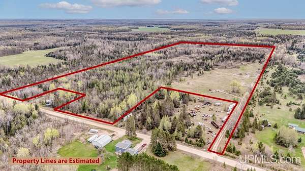 74.2 Acres of Recreational Land for Sale in Trenary, Michigan