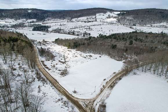 29 Acres of Recreational Land for Sale in Windsor, New York