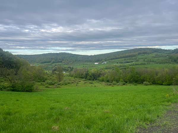 29 Acres of Recreational Land for Sale in Windsor, New York