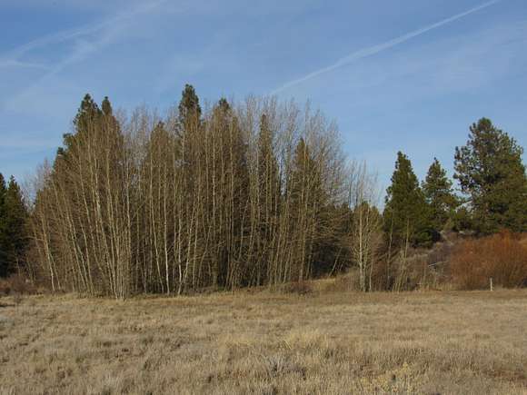 0.86 Acres of Residential Land for Sale in Chiloquin, Oregon