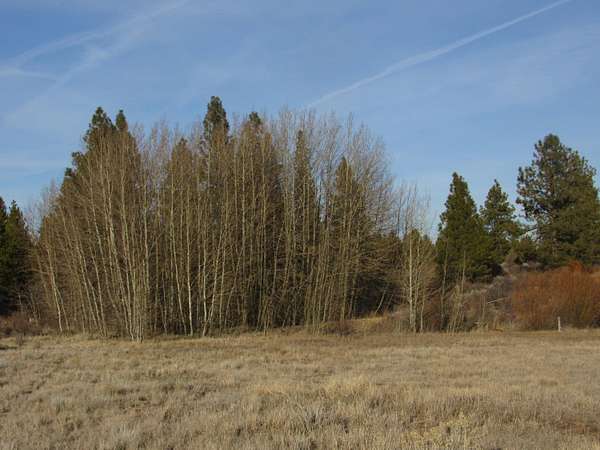 0.84 Acres of Residential Land for Sale in Chiloquin, Oregon