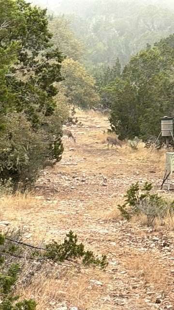 69 Acres of Recreational Land for Sale in Rocksprings, Texas