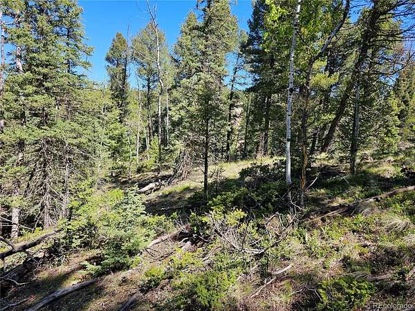 1.86 Acres of Residential Land for Sale in Florissant, Colorado