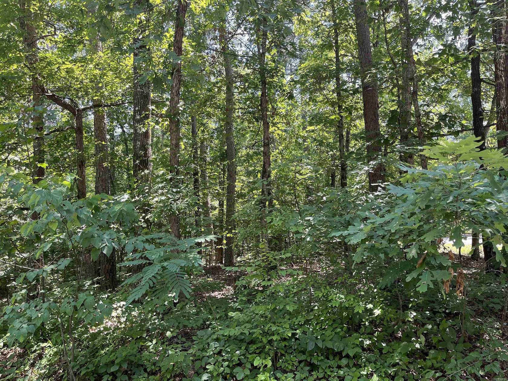 0.27 Acres of Residential Land for Sale in Hot Springs Village, Arkansas