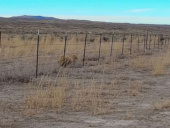 2.27 Acres of Land for Sale in Ryndon, Nevada