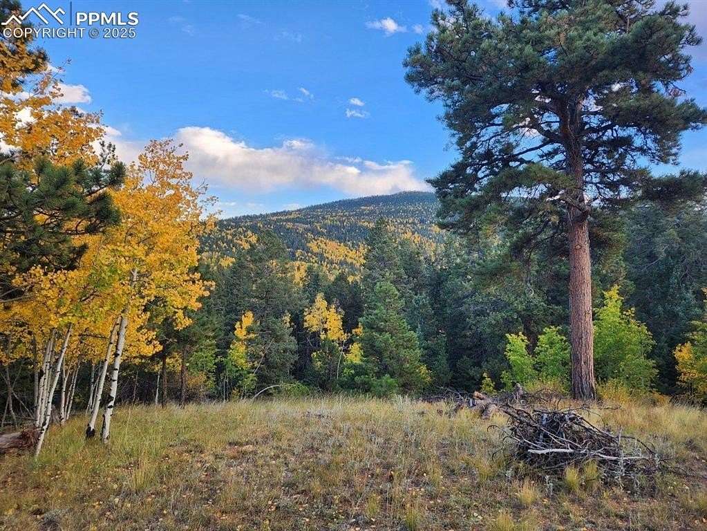 1.7 Acres of Residential Land for Sale in Cripple Creek, Colorado