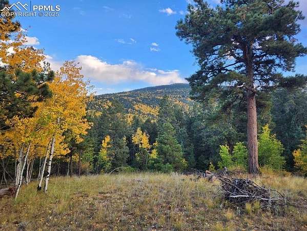 1.7 Acres of Residential Land for Sale in Cripple Creek, Colorado