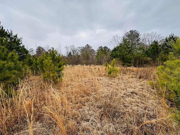 1.5 Acres of Residential Land for Sale in Laurel, Mississippi