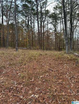 26 Acres of Recreational Land for Sale in Chelsea, Alabama