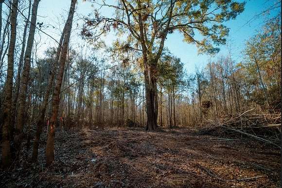 0.44 Acres of Residential Land for Sale in Surrency, Georgia