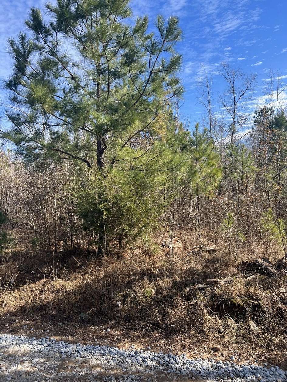 14.6 Acres of Land for Sale in Evans, Georgia